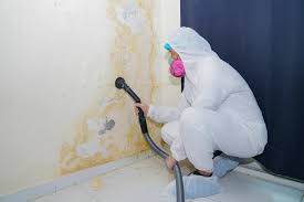 Reliable Onalaska, WI Mold Prevention & Removal  Solutions